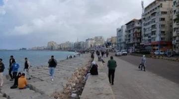 أجواء دافئة نهارًا.. تفاصيل فرص سقوط الأمطار ونشاط الرياح بالقاهرة والمحافظات